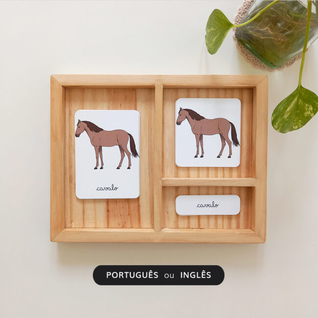 Partes de um Cavalo